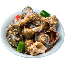 Economical Custom Design Frozen Seafood 360g Conch Spicy Conch